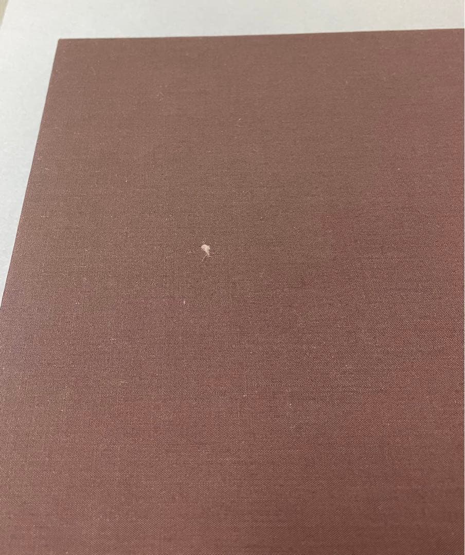 Andrew Wyeth ワイエス a spoken self-portrait