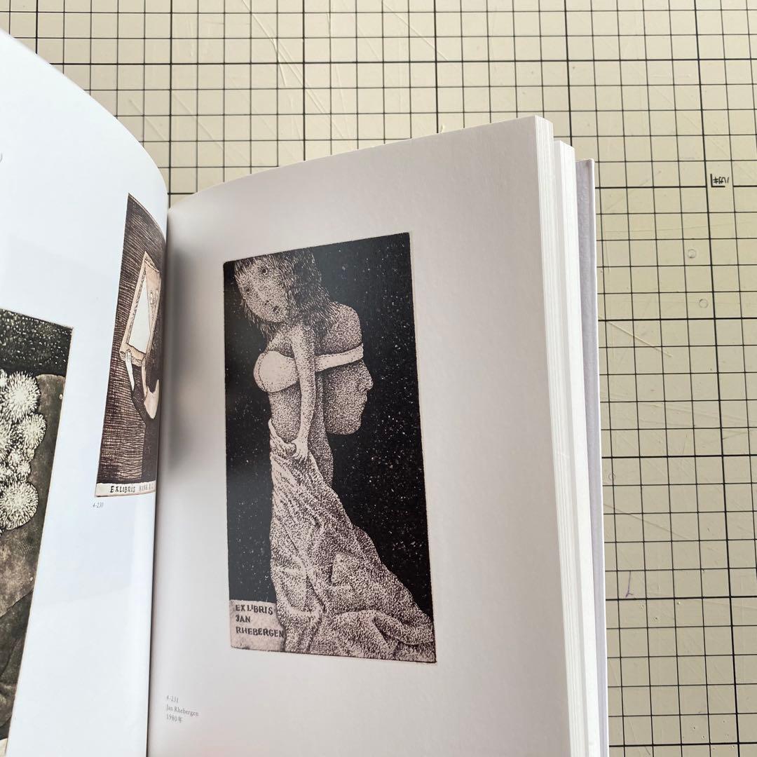 スタシス・エイドリゲヴィチウス　図録　展覧会　STASYS IMAGES