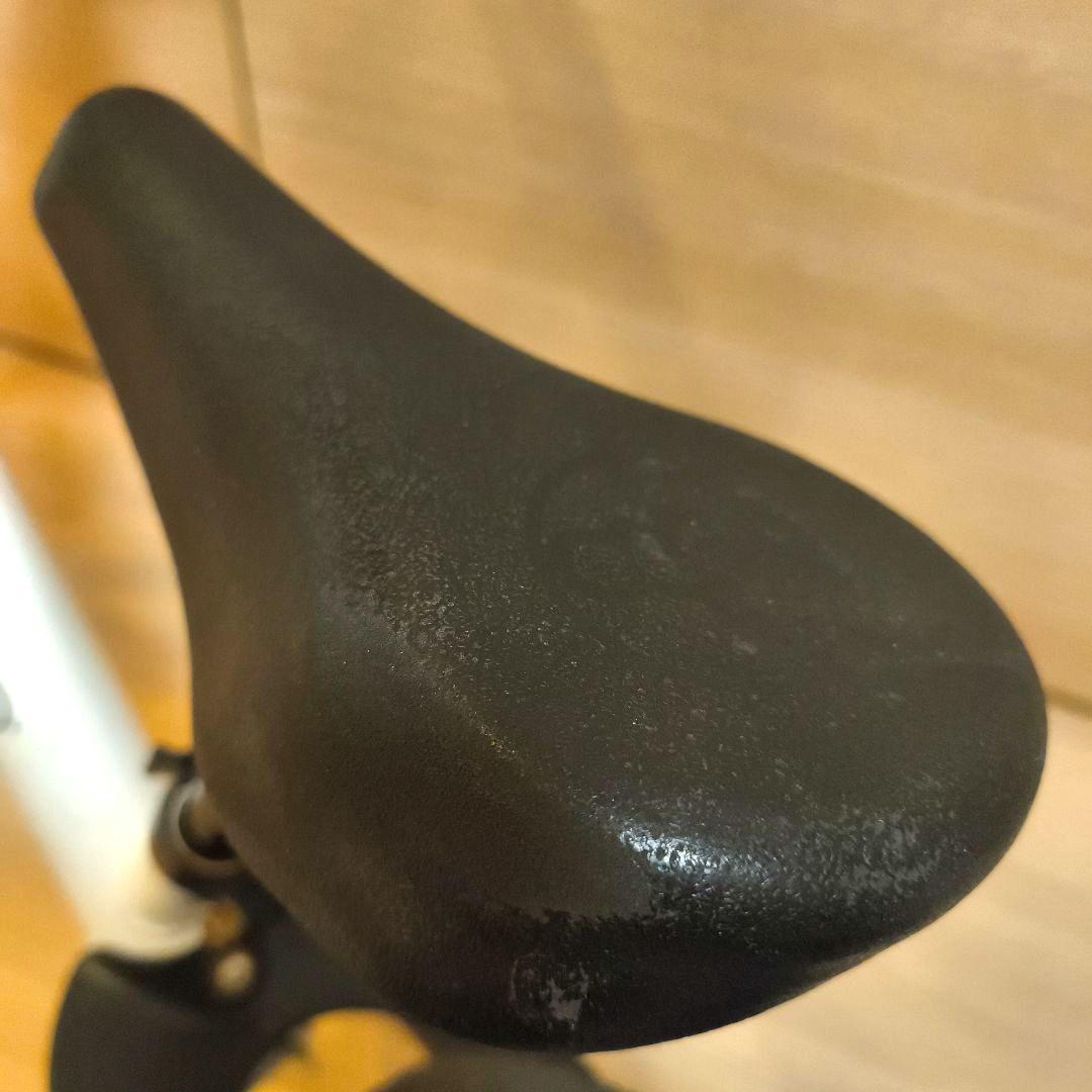 ストライダー ムラサキスポーツ　限定カラー トリコロール 12 スポーツ