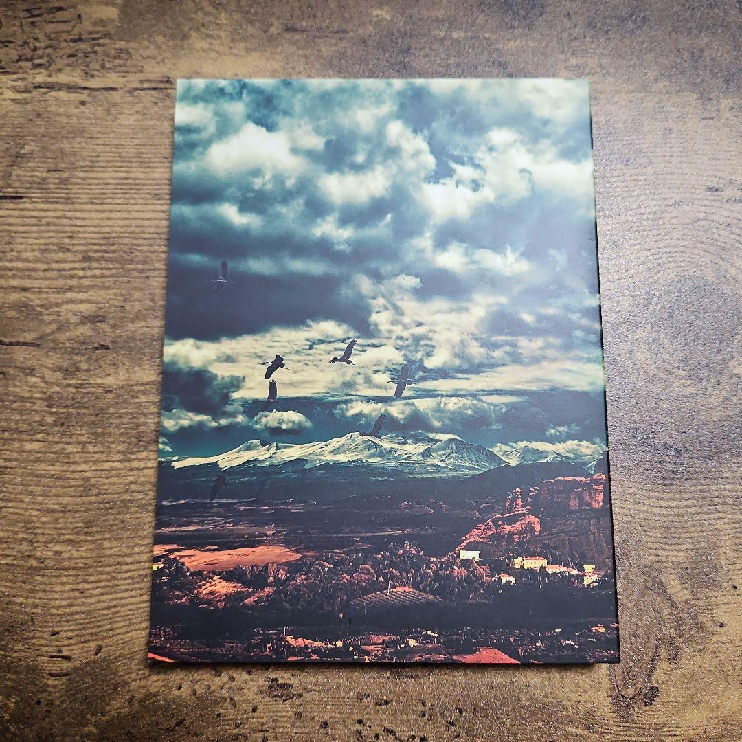 【完全生産限定盤】DIR EN GREY　The Insulated World