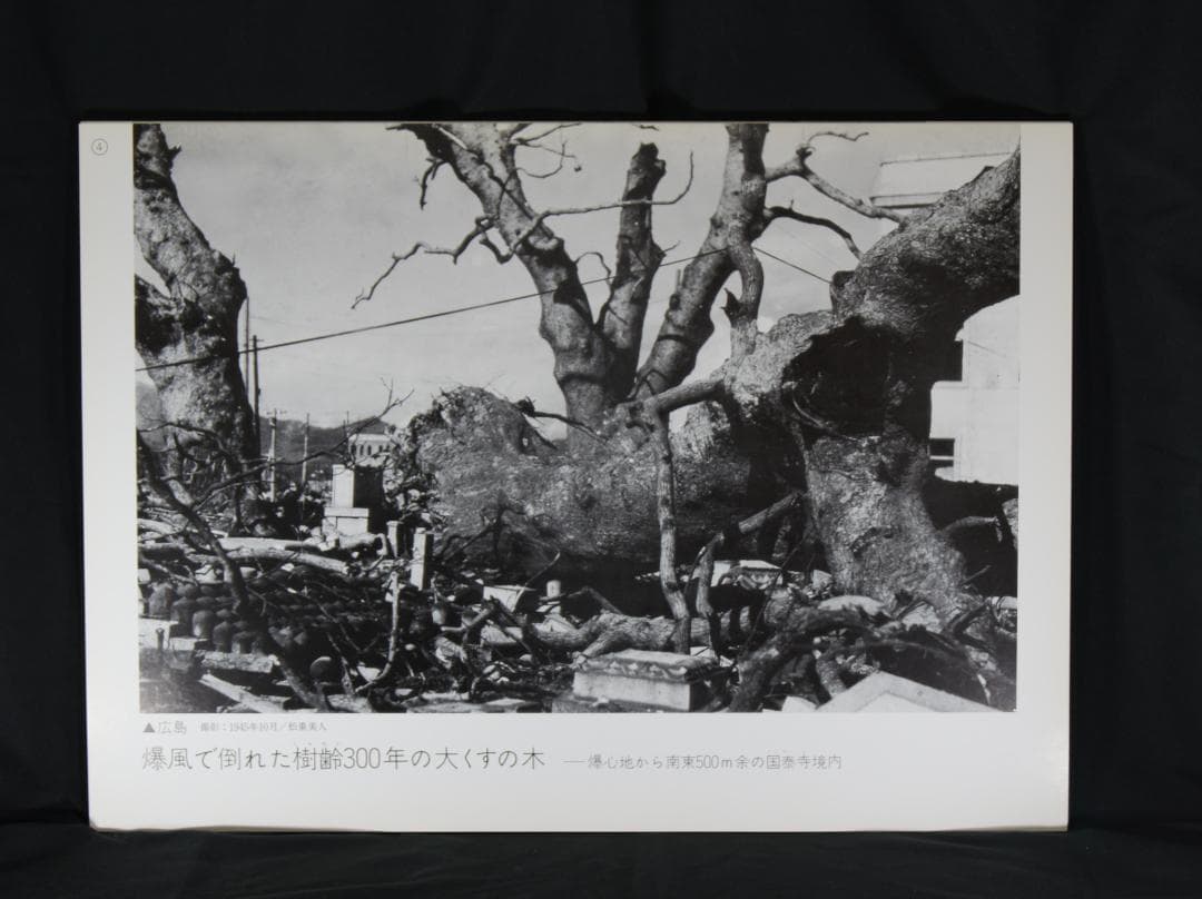 組写真　ヒロシマ・ナガサキ 原爆 写真資料 解説書付き 大判 全20枚