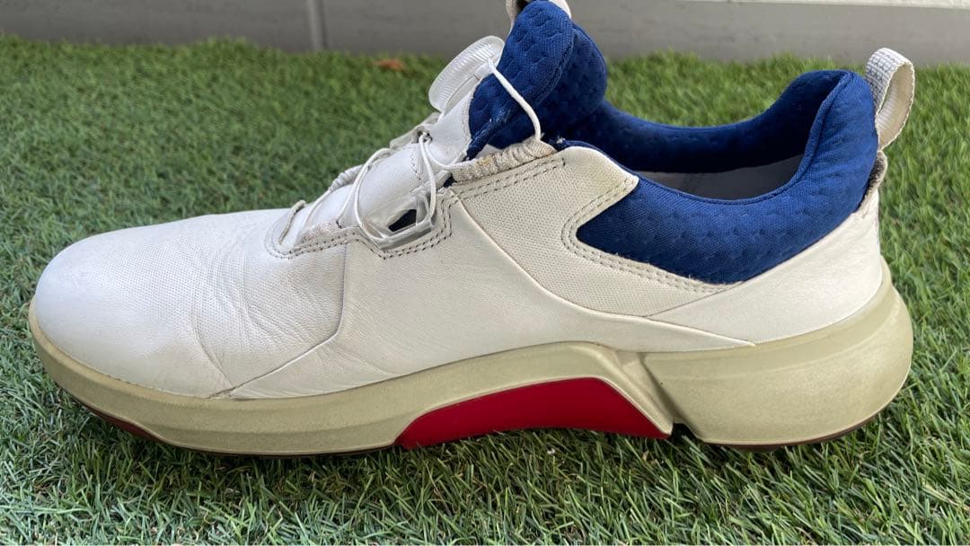 ECCO GOLF BIOM H4 BOA バイオム ハイブリッド４ ボア