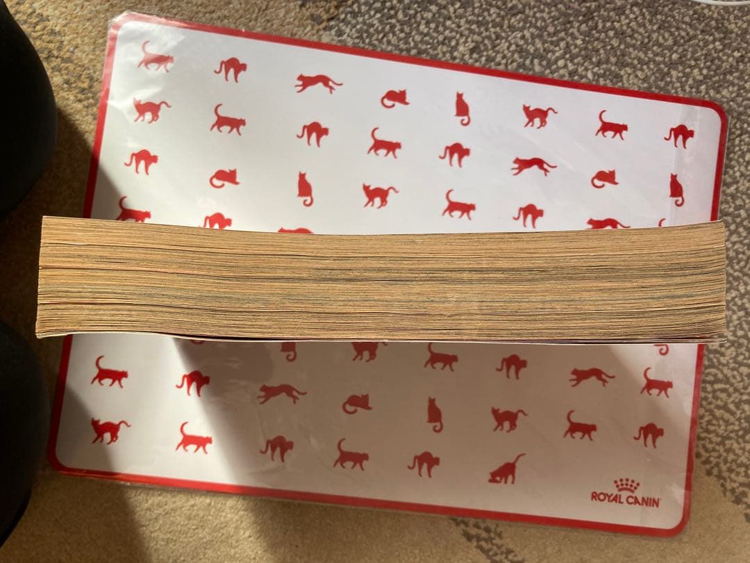 プチコミック 1996年3月号 結婚物語特集　さとうちほ花音掲載