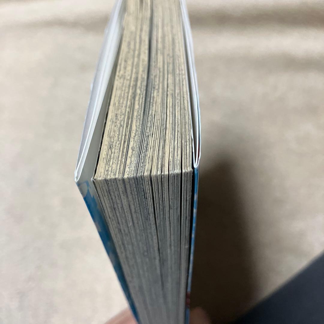 獅子王剣ナイトオーダー コミックス グランドナイツ 未開封