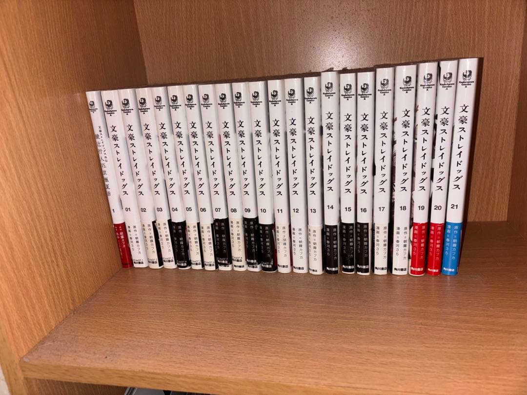 文豪ストレイドッグス 全21巻+外伝1巻