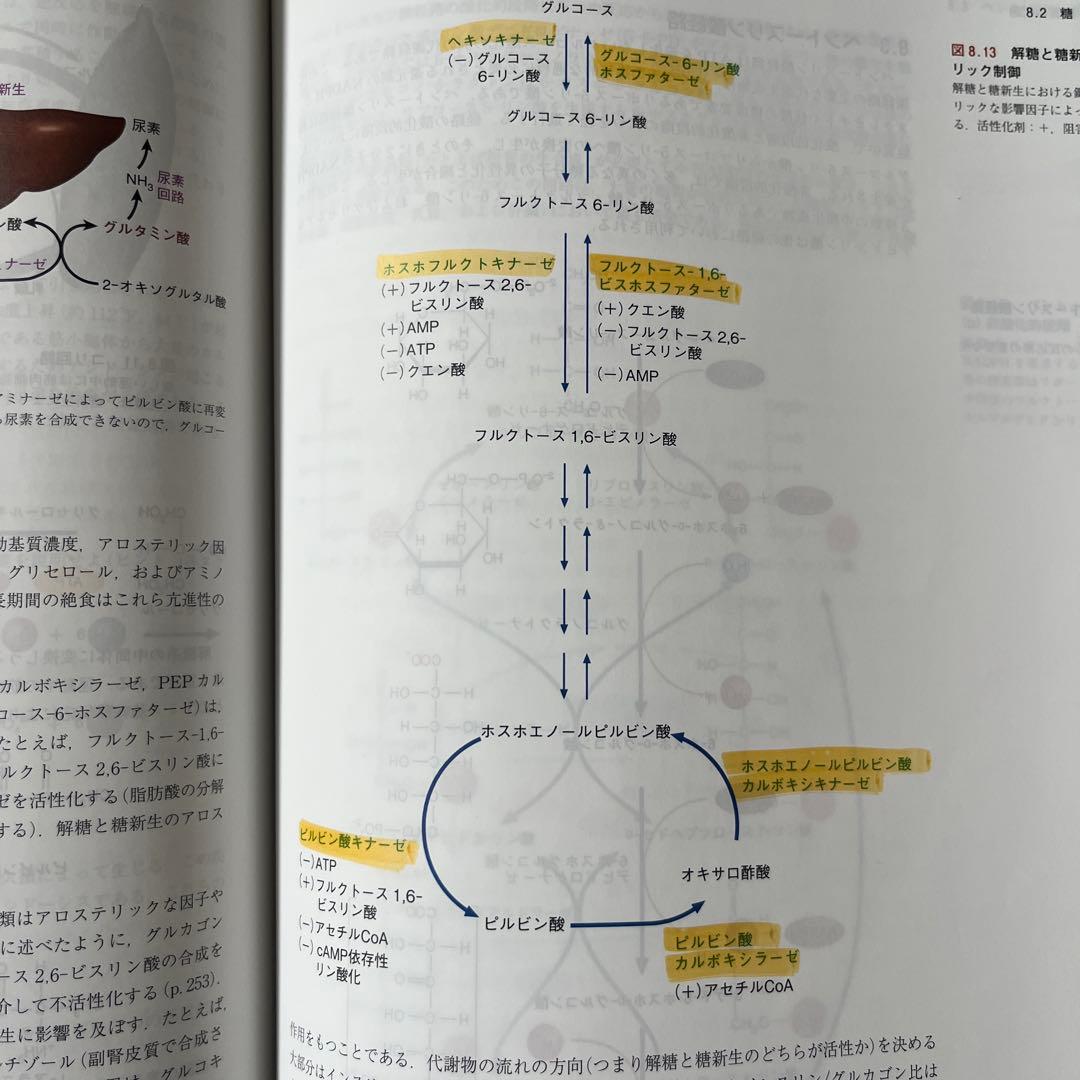 マッキー生化学 第6版