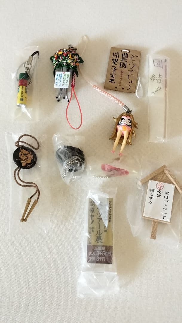 水曜どうでしょう DVD全集5セット 絵葉書・フィギア付き