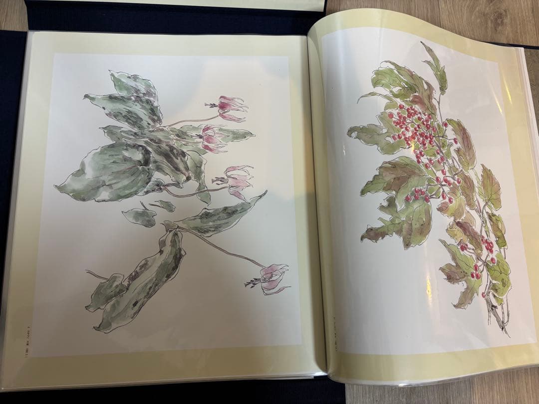 軽井沢の草花素描集 石川功一　定価36000円