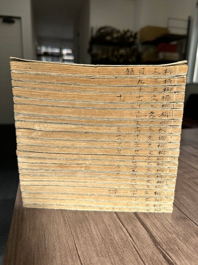 唐柳河東集 二十一冊 不揃い