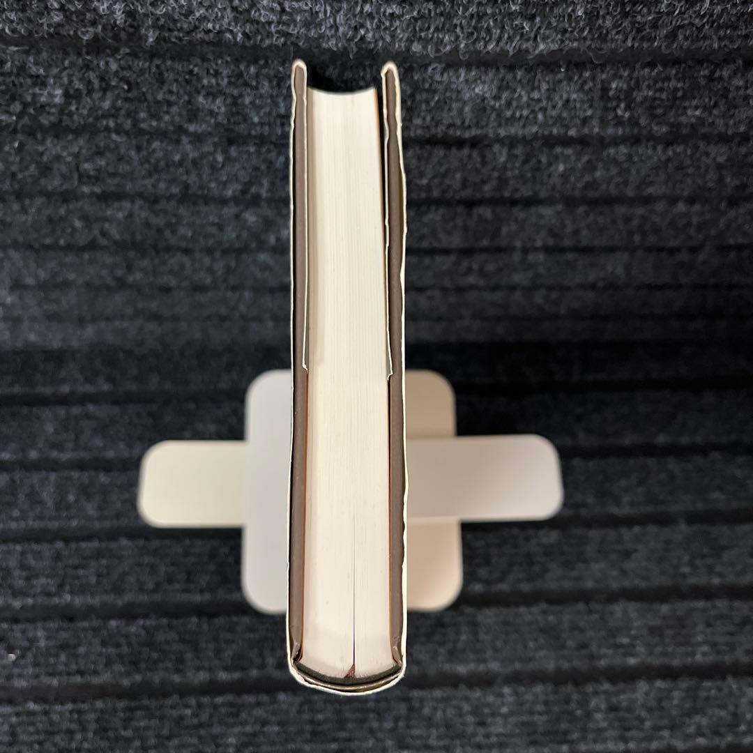 女になった海賊と大人にならない子どもたち ロビンソン変形譚のゆくえ