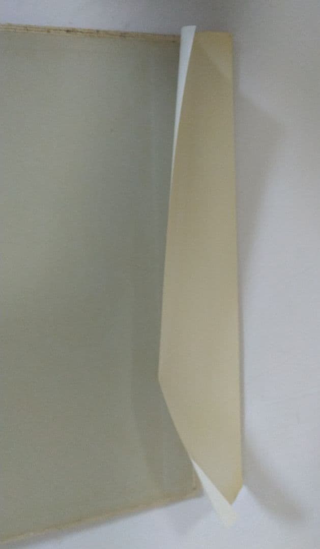 ポール・マス Paul MAAS 絵画作品のカタログ 洋書