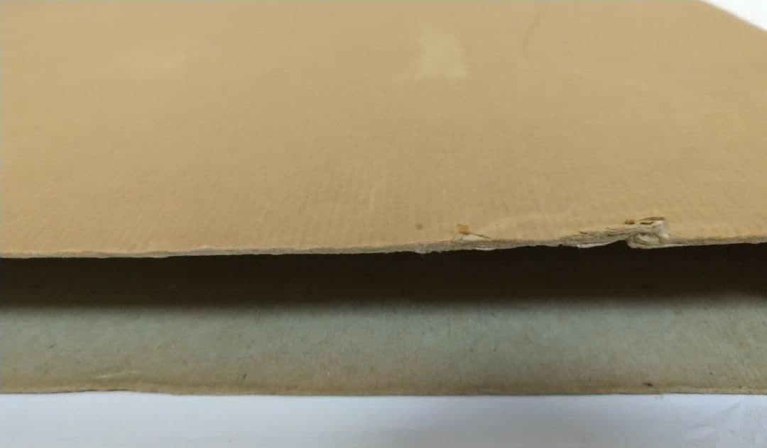 ポール・マス Paul MAAS 絵画作品のカタログ 洋書