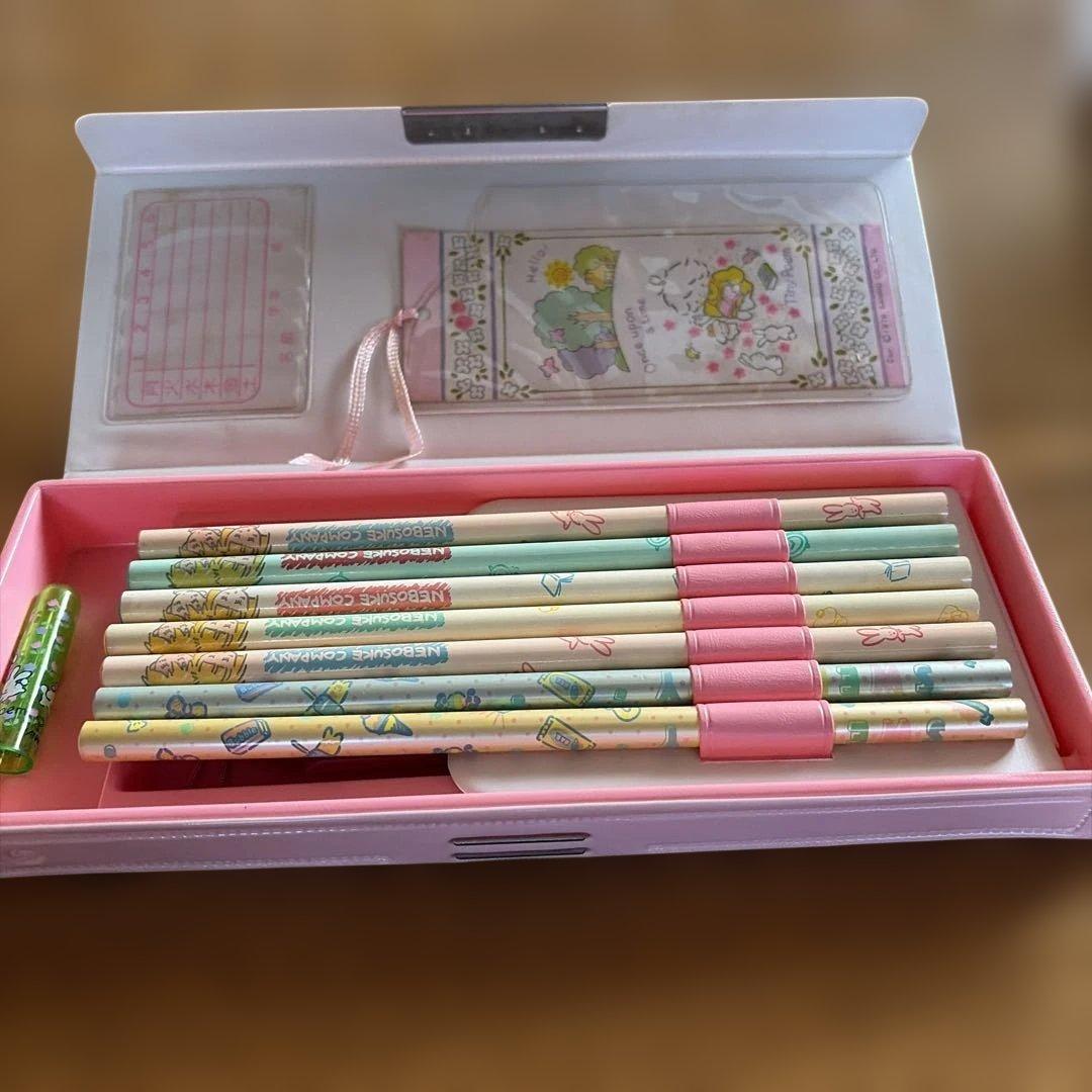 サンリオ　Tiny Poem タイニーポエム　風の子さっちゃん 筆箱　昭和レトロ