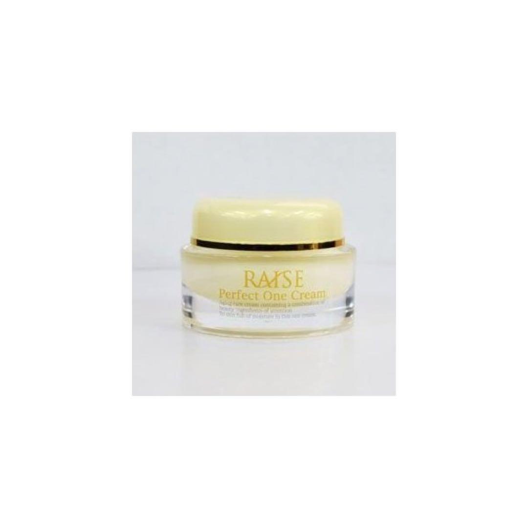 複数割引有 レイズ パーフェクトワンクリーム とソリューション  SC100