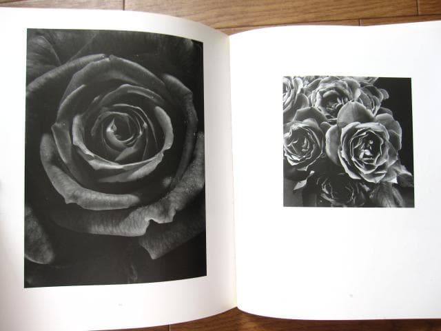 HANA　石元泰博　Yasuhiro Ishimoto