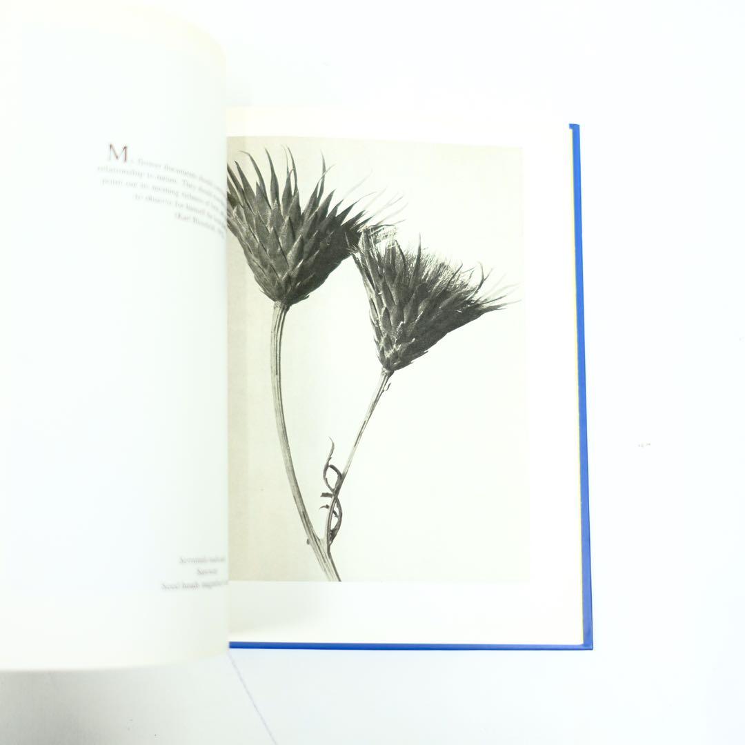 Karl Blossfeldt Taschen カール・ブロスフェルド　写真集