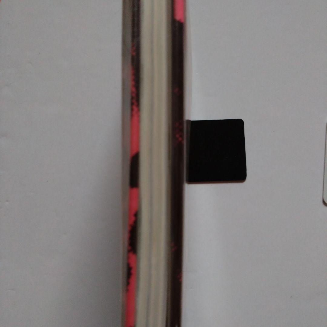 PUNK! バリー・ラゼル著