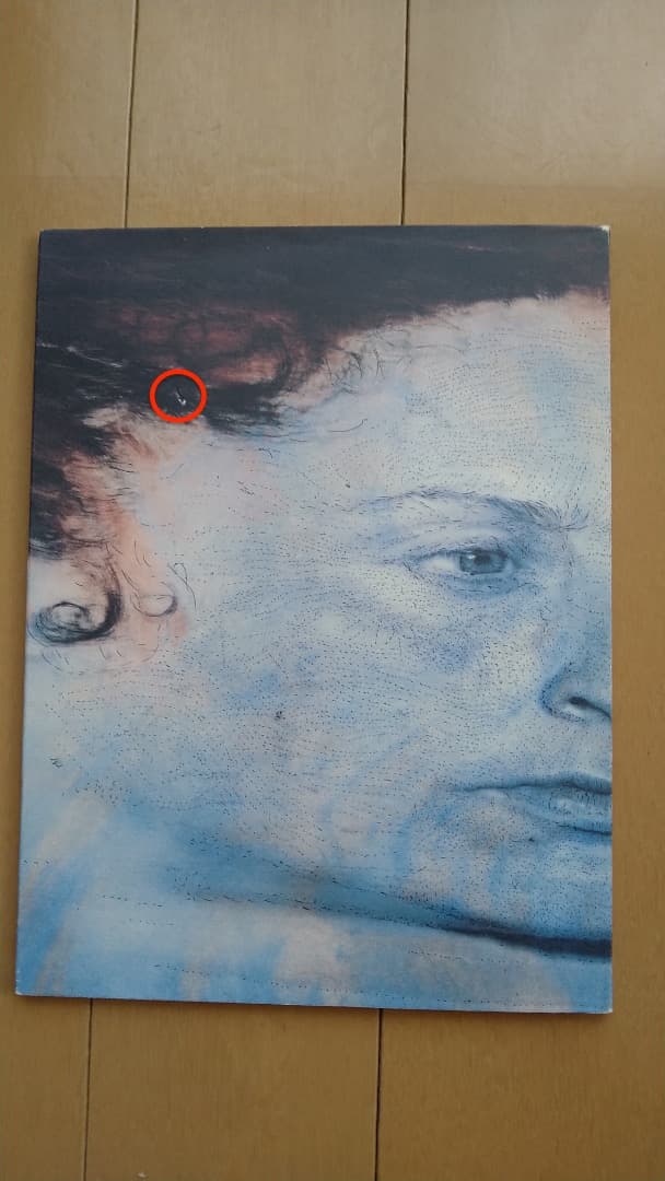 Kiki Smith キキ・スミス展のカタログ