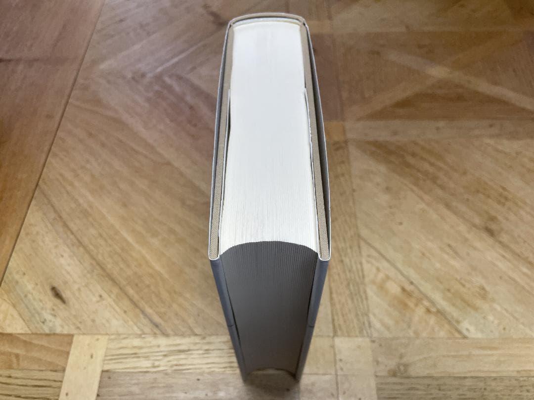 【新品未読品】家の馬鹿息子 1 / サルトル