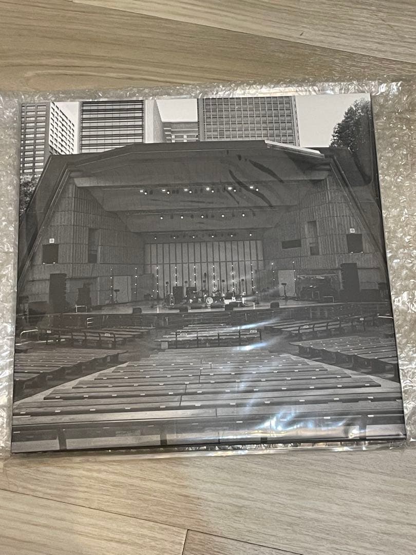 カネコアヤノ　レコードLP