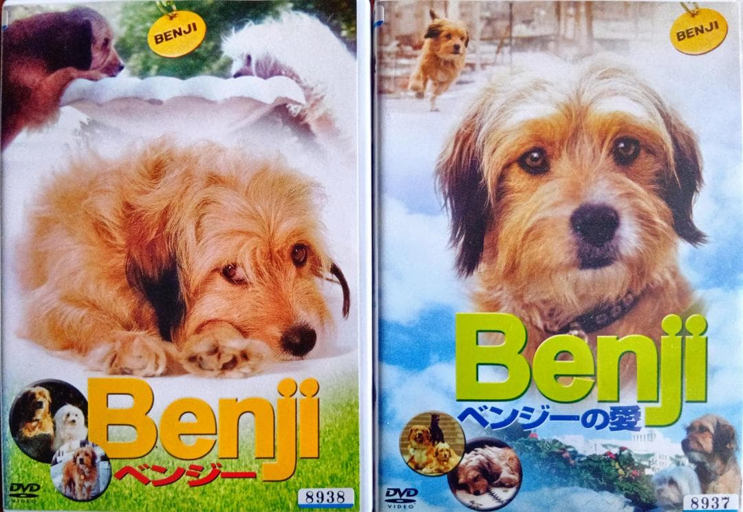 ベンジー ベンジーの愛 アンディ・ウィリアムス歌う主題歌と名犬の活躍が光る家族で