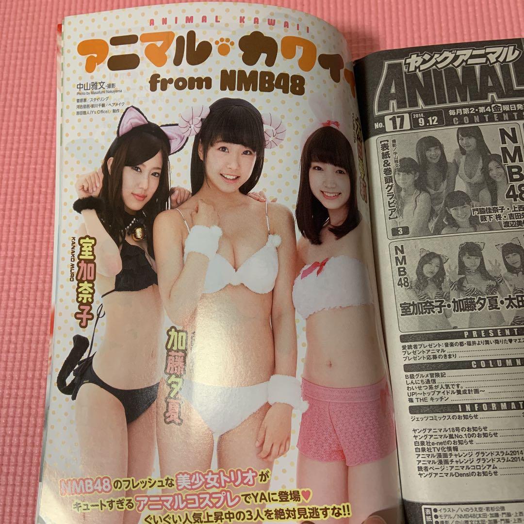 ヤングアニマル　2014年17号