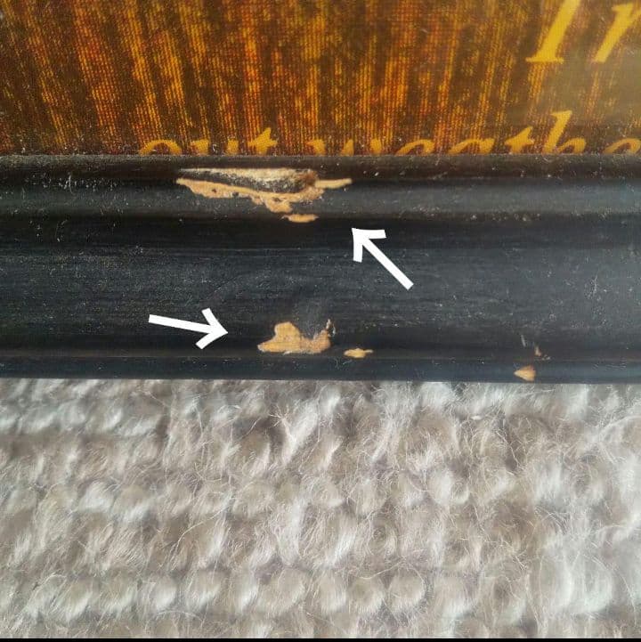 フライフィッシング ポスター アラスカ パンフレット フライパターン 激レア‼️