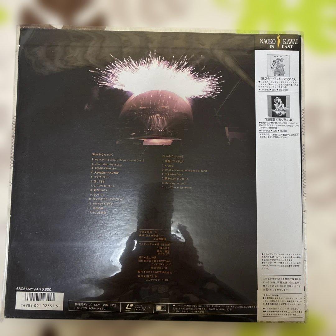 河合奈保子LDレーザーディスク 10枚セット　VIDEO DISC