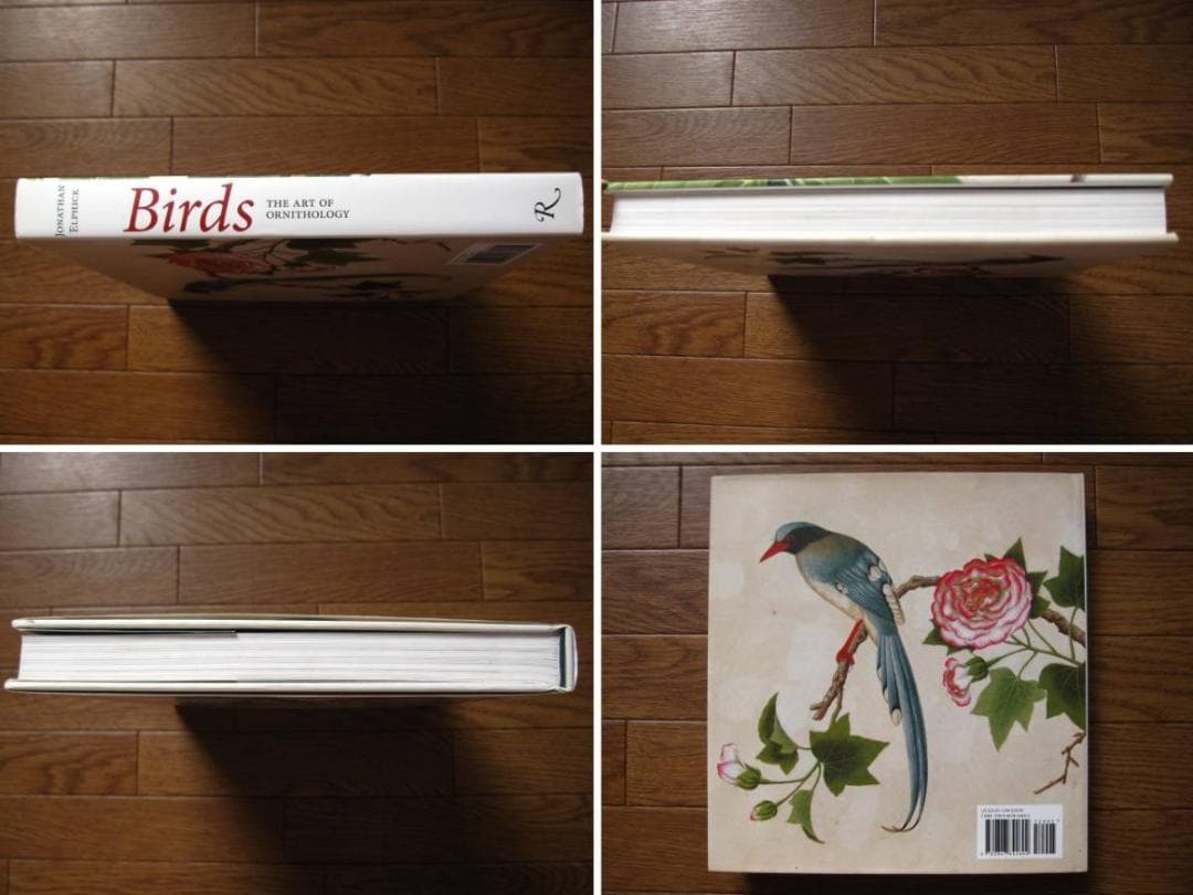 Birds : The Art of Ornithology　絶滅鳥
