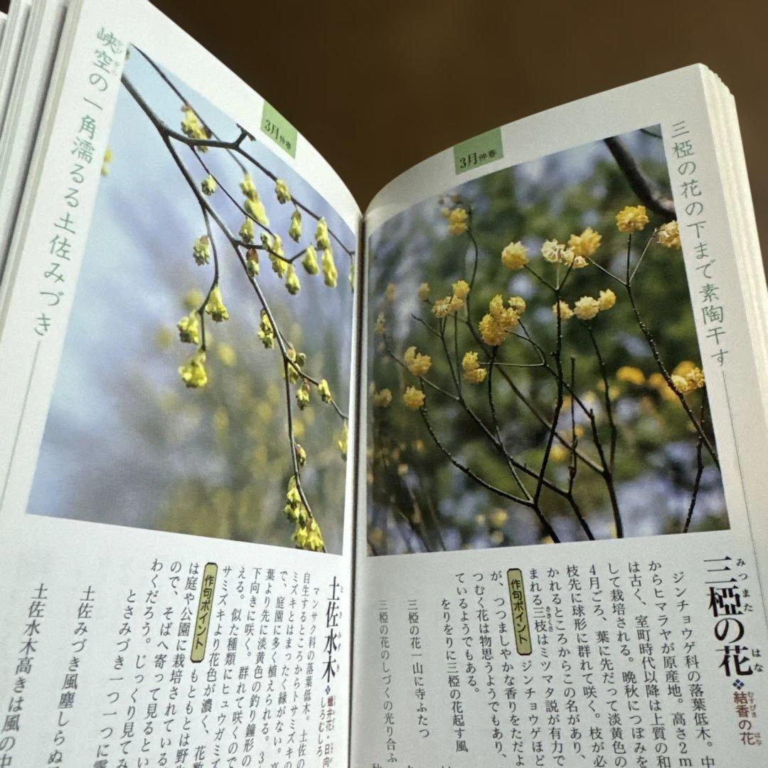 俳句の暮らしと行事 上・下巻 他　6冊まとめ売り