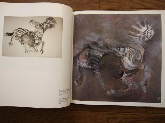 ロバート・ハインデル作品集　Robert Heindel