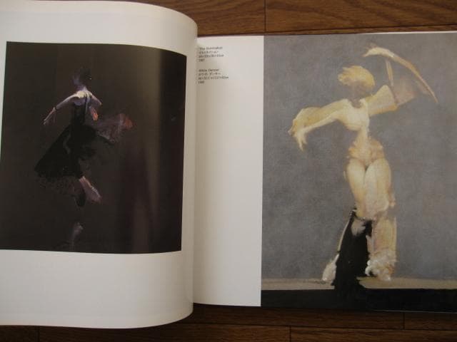 ロバート・ハインデル作品集　Robert Heindel