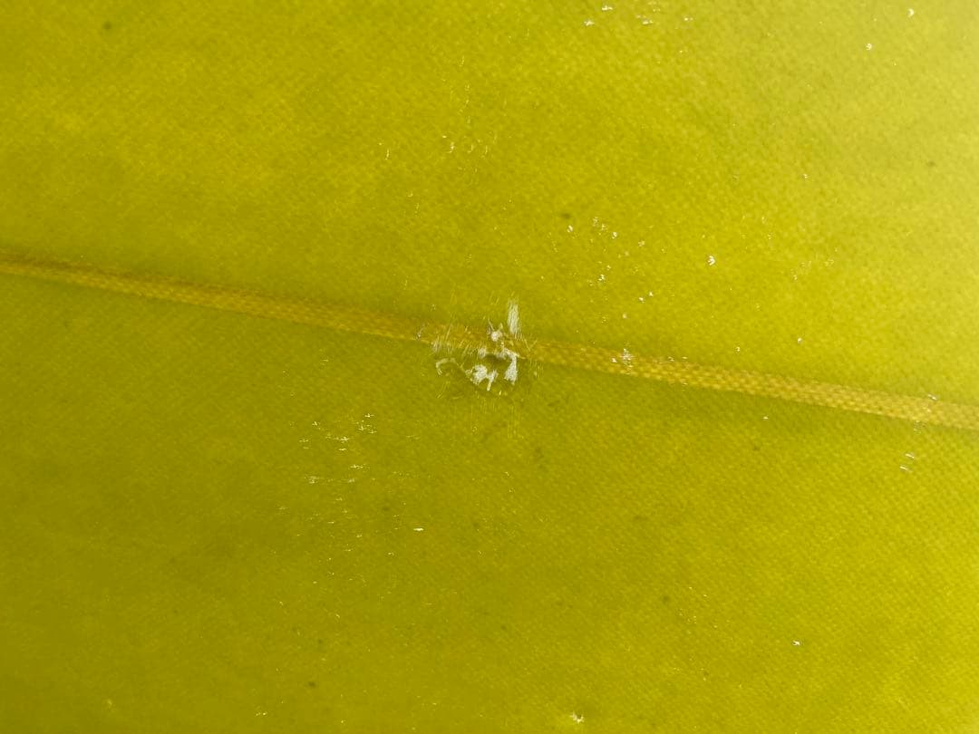 【シーコングオリジナル】ロングボード ホワイト/グリーン