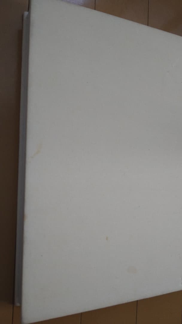 絶版本 Robert Ryman Phaidon ハードカバー