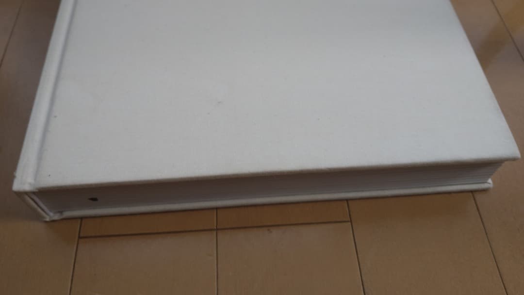 絶版本 Robert Ryman Phaidon ハードカバー