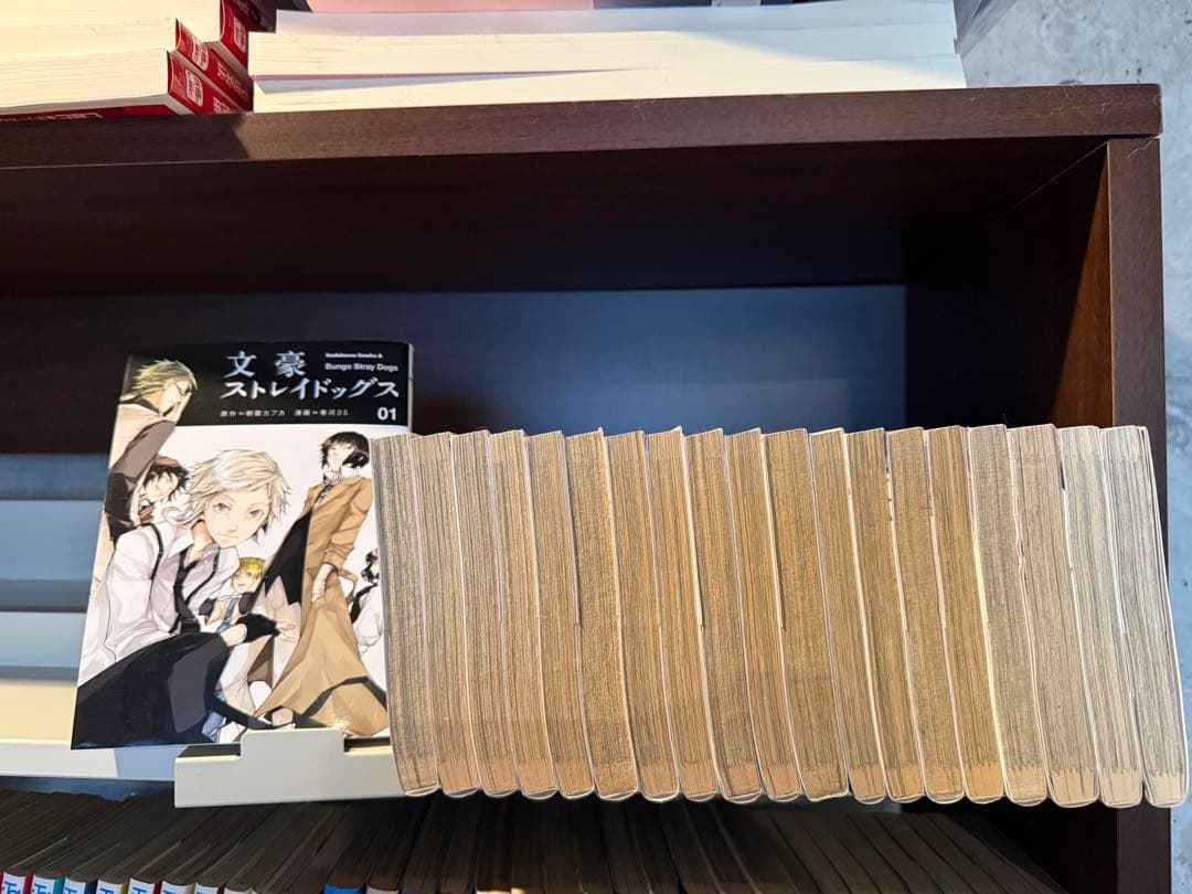 文豪ストレイドッグス 01-20巻セット