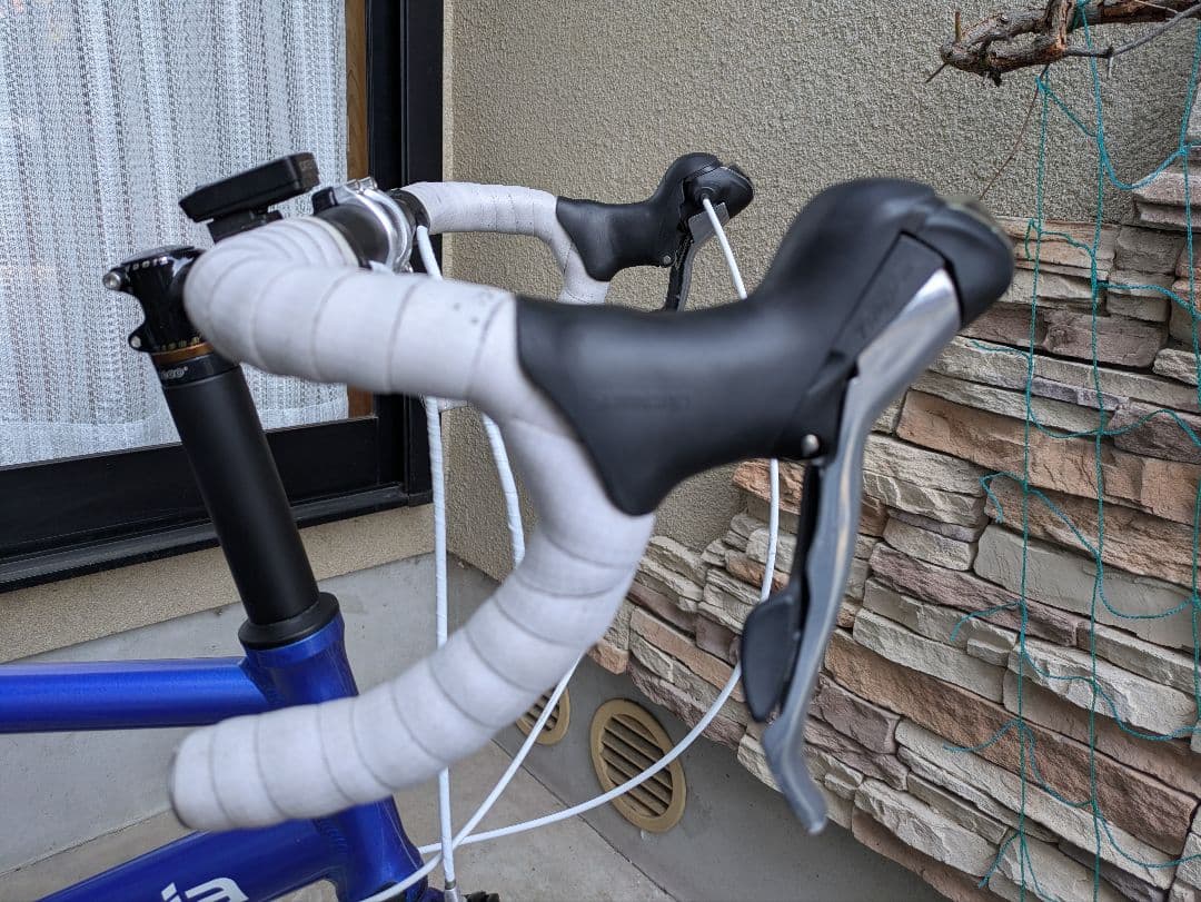 ミニベロ D211RR−DR esrMagnesia