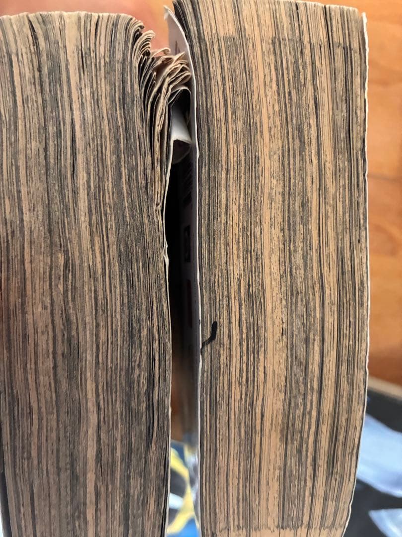 ブリーチ bleach 英語 21巻分