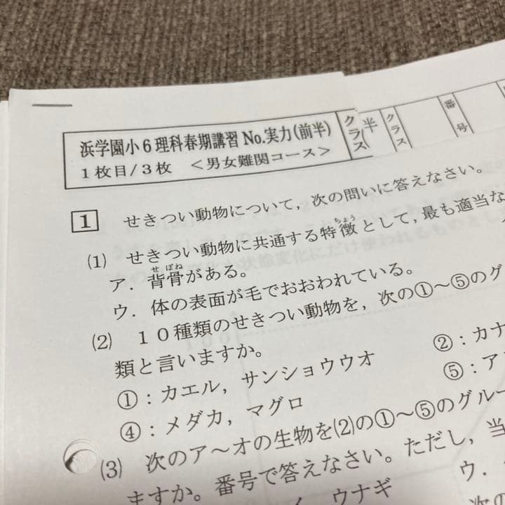 no22503105_【浜学園】小6理科　復習テスト・年間フルセット　おまけ付