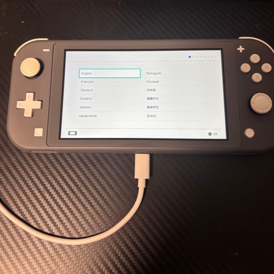 【動作確認済】Nintendo Switch Lite 本体 グレー
