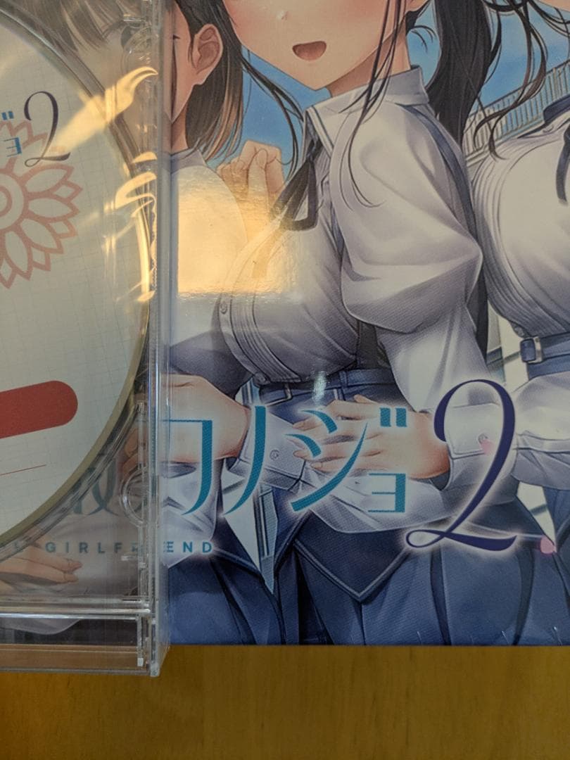 【新品・未開封】制服カノジョ2 初回版 Windows