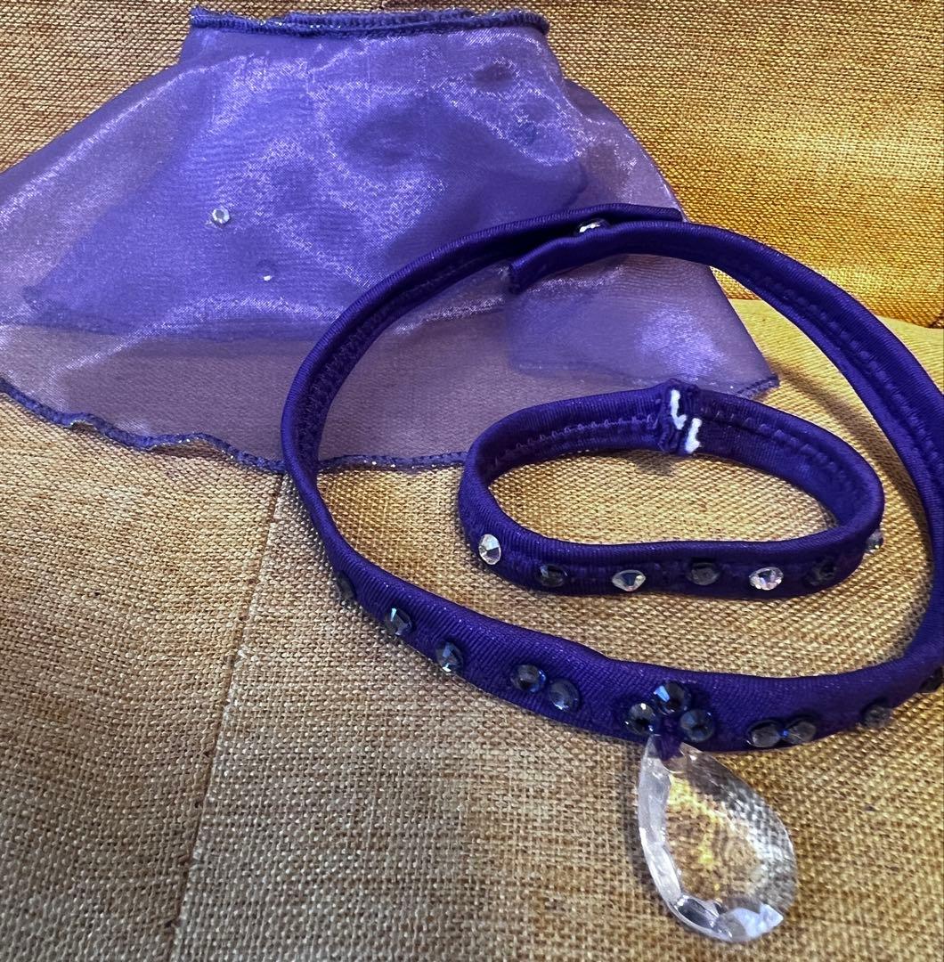 最終値下げ！社交ダンス　ラテンドレス