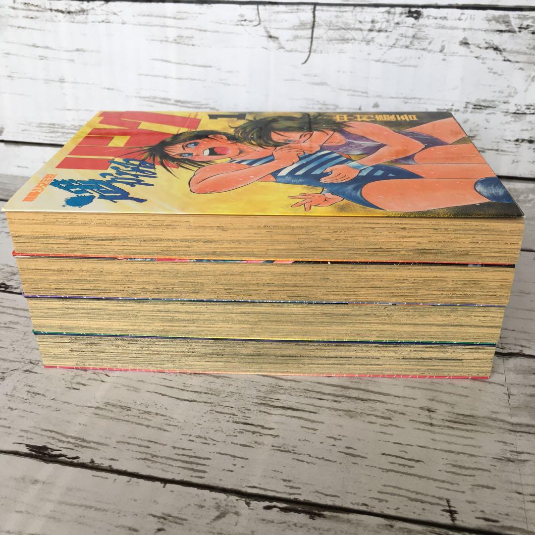 【希少】初版 格闘少女伝説 遥かなるリング 中村慶吾 全4巻 女子プロレス