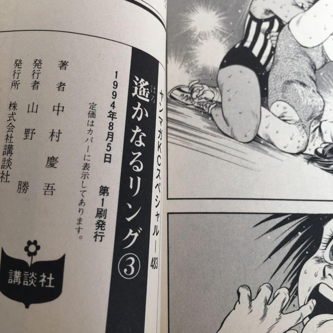 【希少】初版 格闘少女伝説 遥かなるリング 中村慶吾 全4巻 女子プロレス