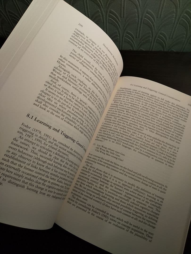 〈洋書〉児童統語論：原理とパラメータ理論入門／☆書き込み無し保証