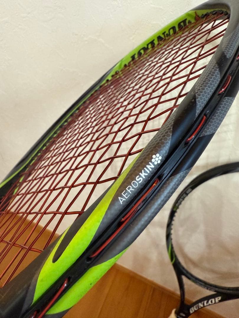 DUNLOP BIOMIMETIC 100【2本セット】