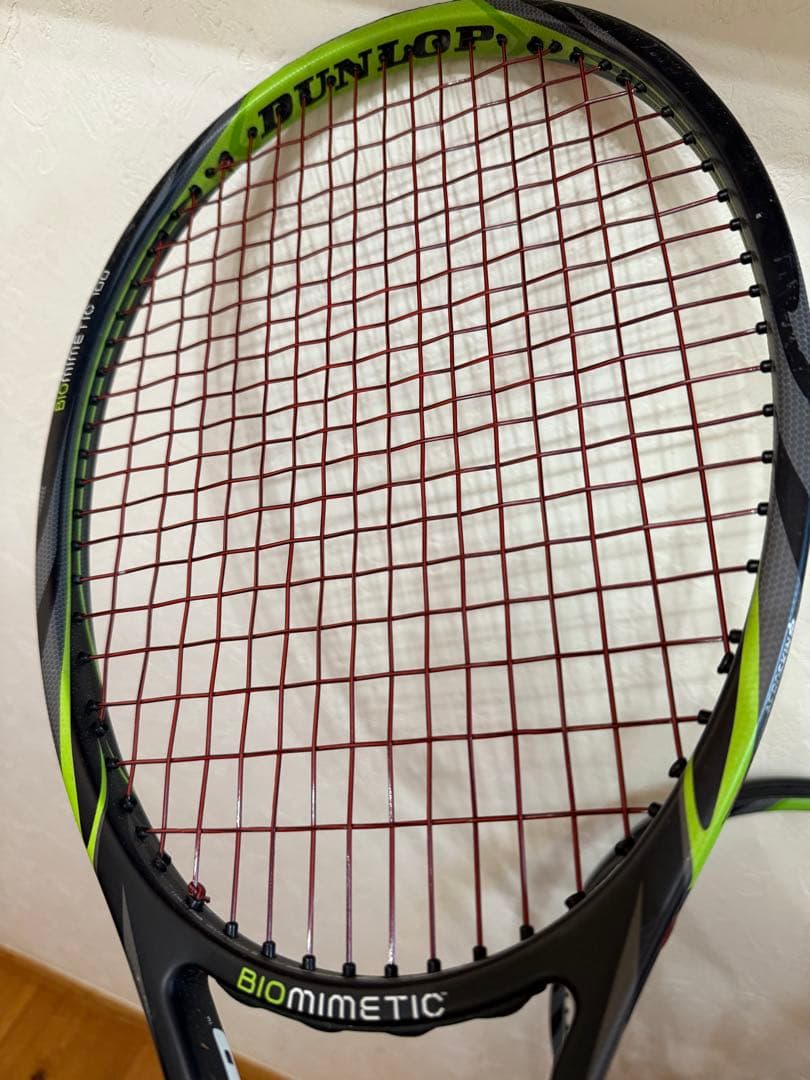 DUNLOP BIOMIMETIC 100【2本セット】