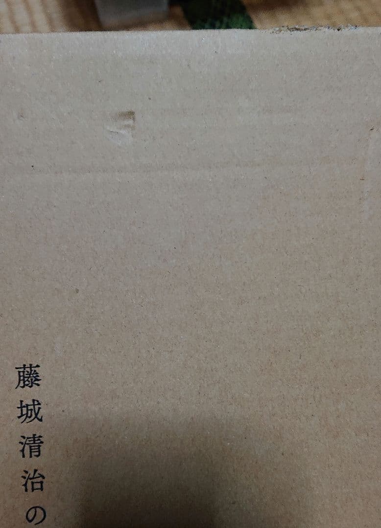 藤城清治の旅する影絵 初版 初回限定特典 特製切り絵付き