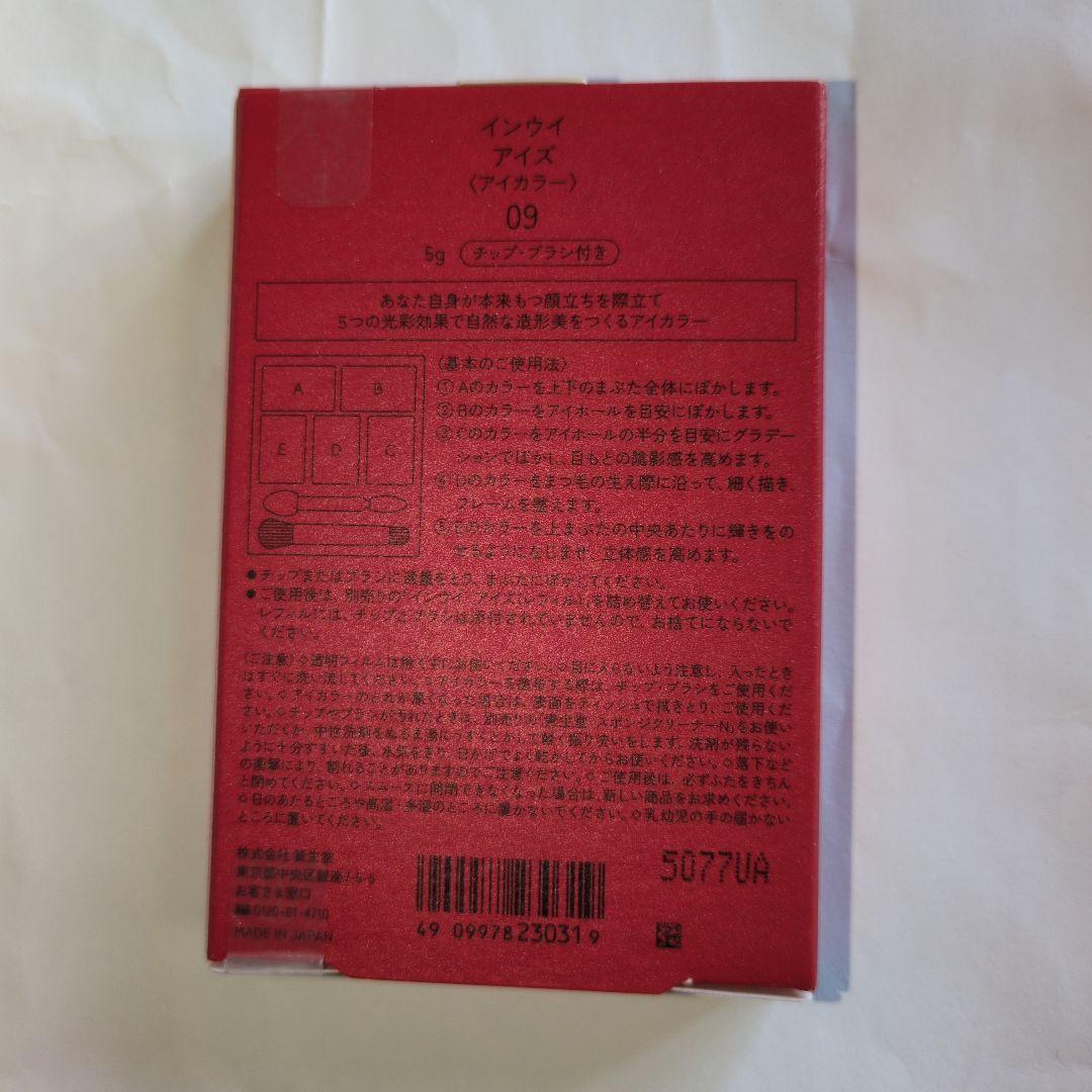 【限定品✨️】INOUi アイシャドウパレット本体 09 5g