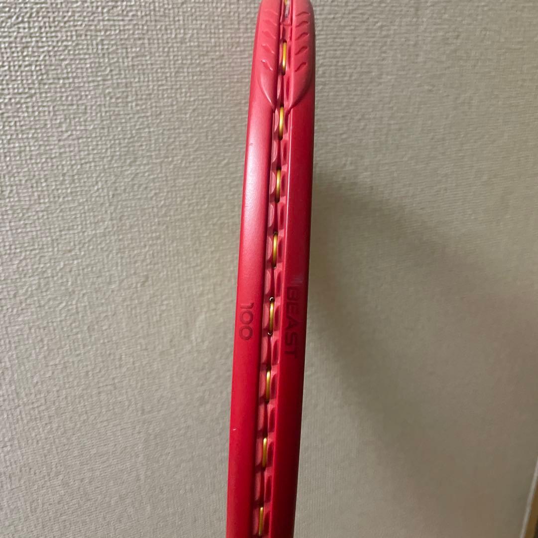 prince ビースト100 G2 現行モデル